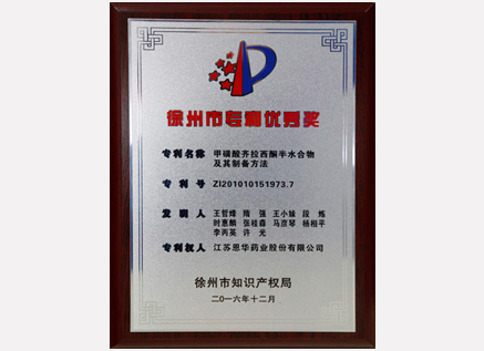 江苏恩华药业有限公司